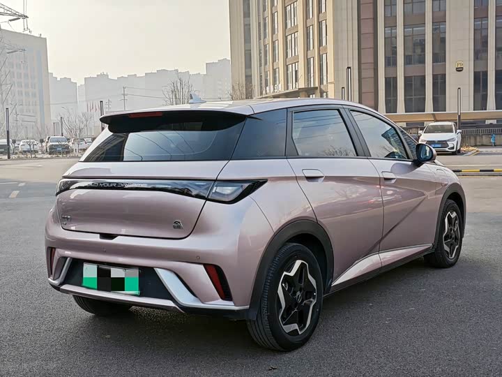 Фото 4 - BYD Dolphin