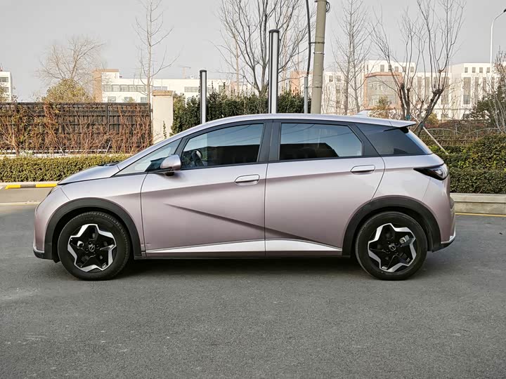 Фото 7 - BYD Dolphin