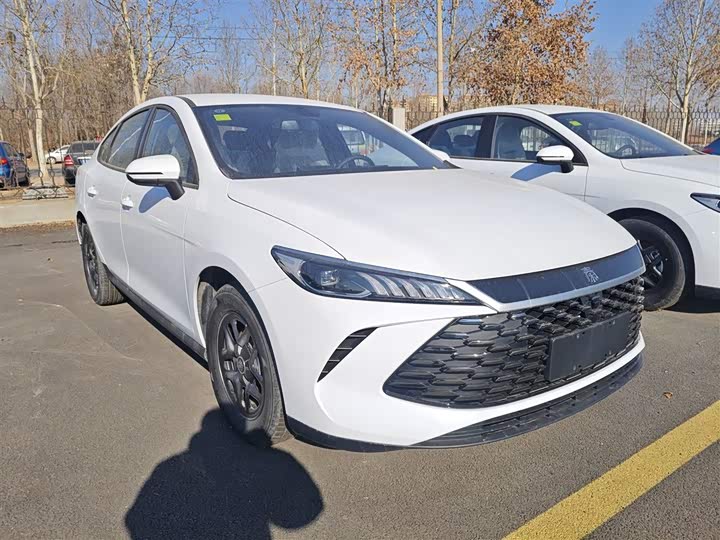 Фото 4 - BYD Qin Plus