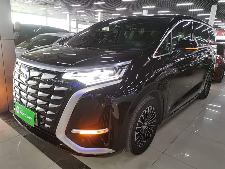 Фото 2 - Denza D9