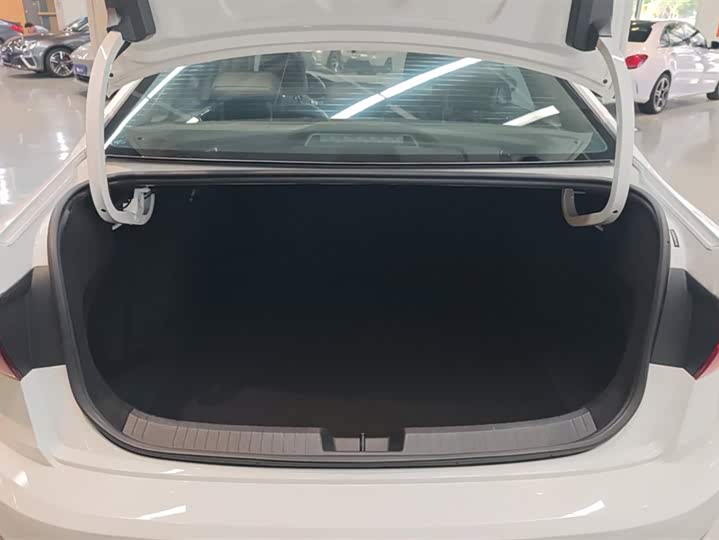 Фото 4 - Volkswagen Sagitar L