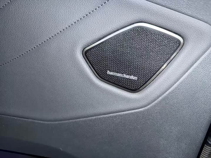 Фото 7 - Volkswagen Talagon