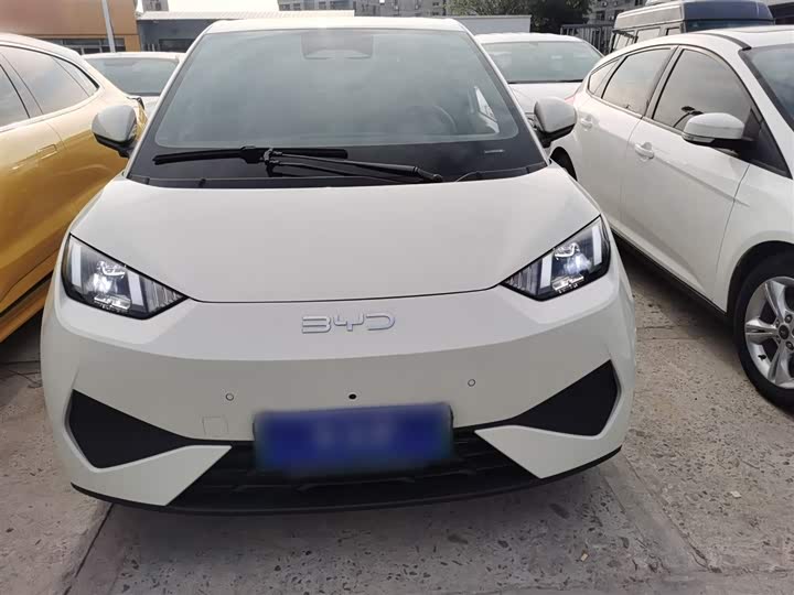 Фото 3 - BYD Seagull