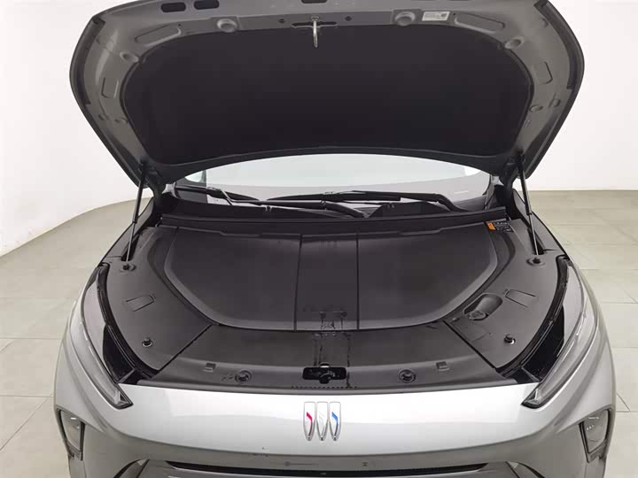 Фото 6 - Buick Electra E5