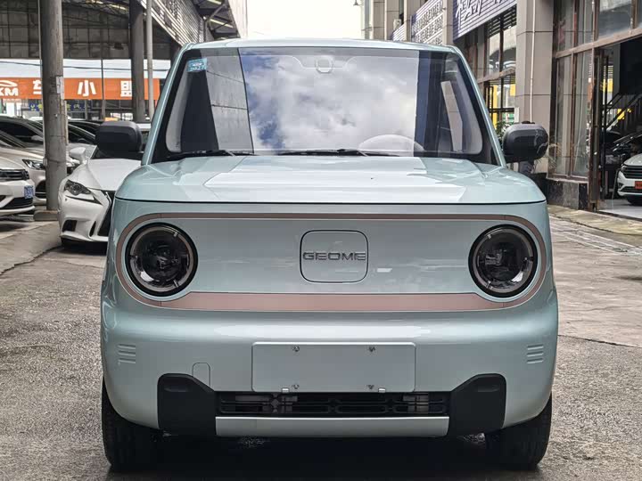 Фото 2 - Geely Galaxy Panda Mini