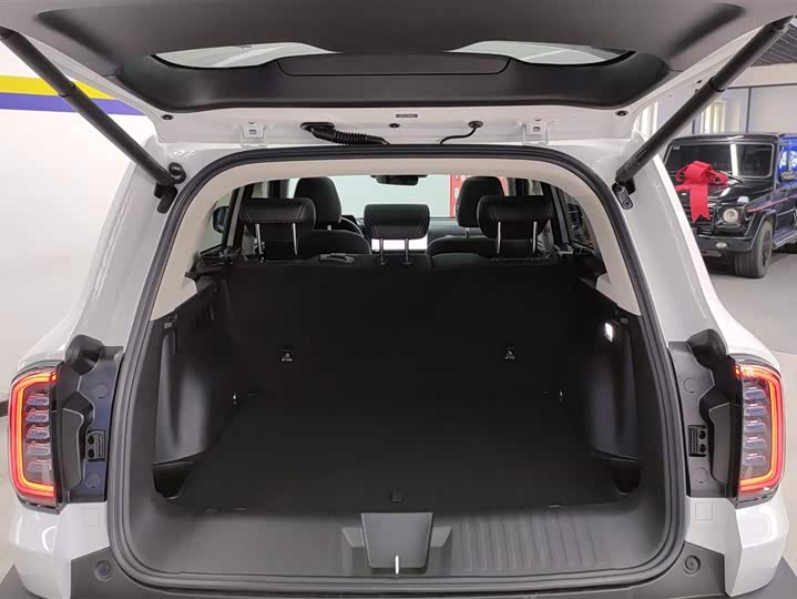 Фото 4 - Haval Dargo