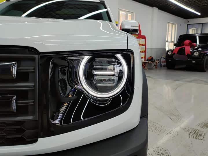 Фото 5 - Haval Dargo