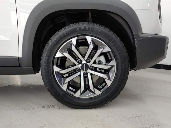 Фото 6 - Haval Dargo