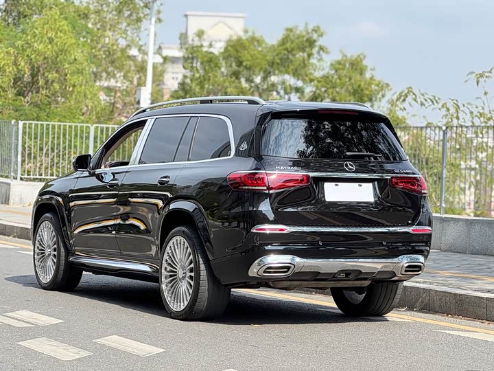Фото 4 - Mercedes-Benz Maybach GLS