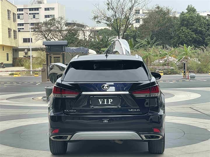 Фото 5 - Lexus RX