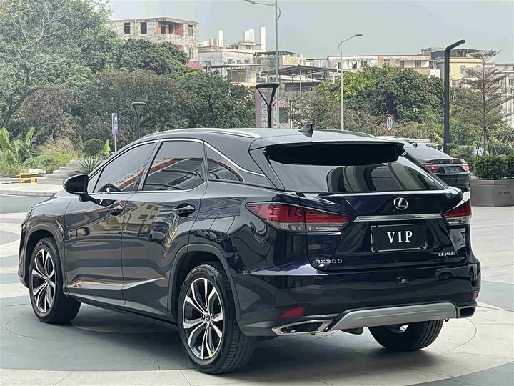 Фото 6 - Lexus RX