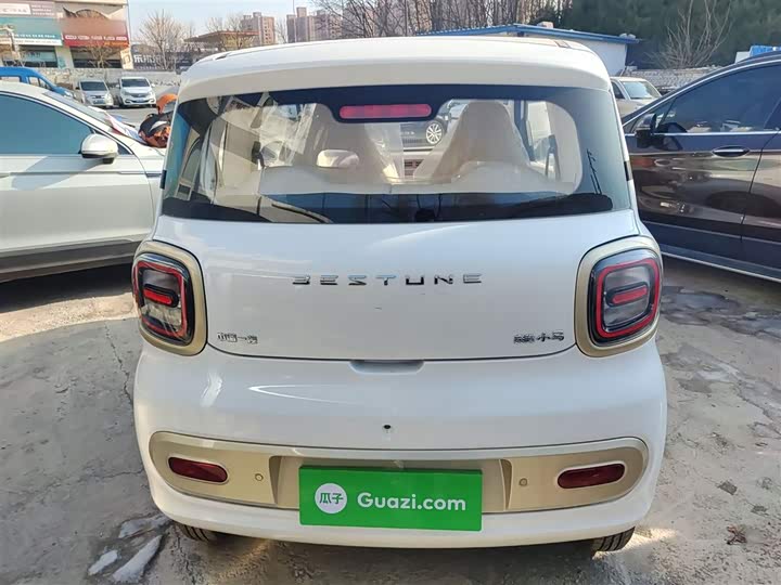 Фото 6 - Bestune Pony