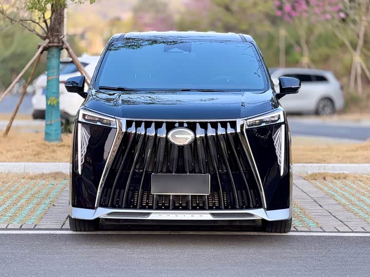 Фото 2 - GAC Trumpchi M8