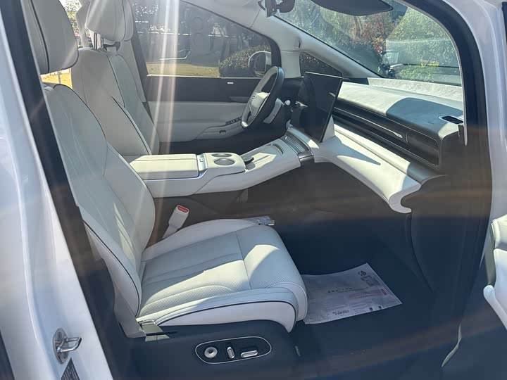 Фото 9 - XPeng X9