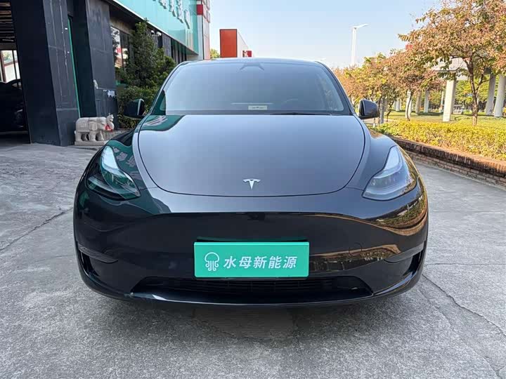 Фото 2 - Tesla Model Y