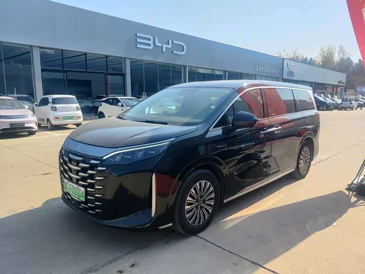 Фото 1 - BYD Xia