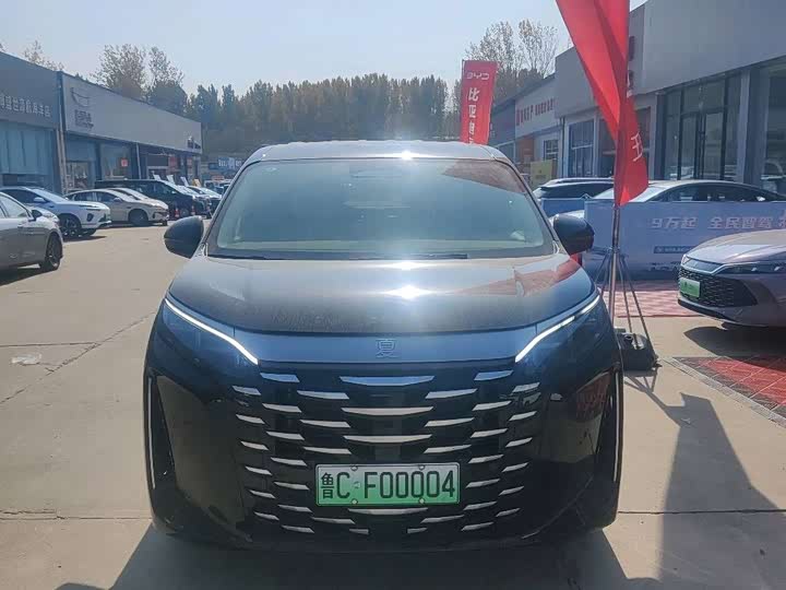 Фото 2 - BYD Xia