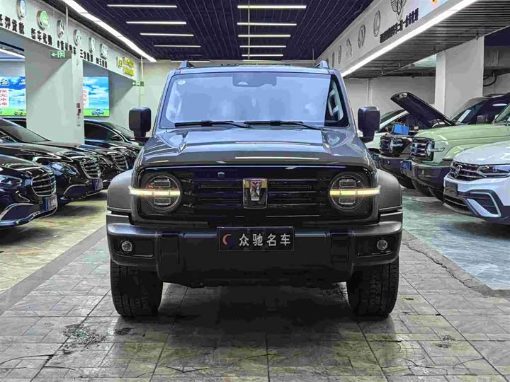 Фото 2 - Tank 300