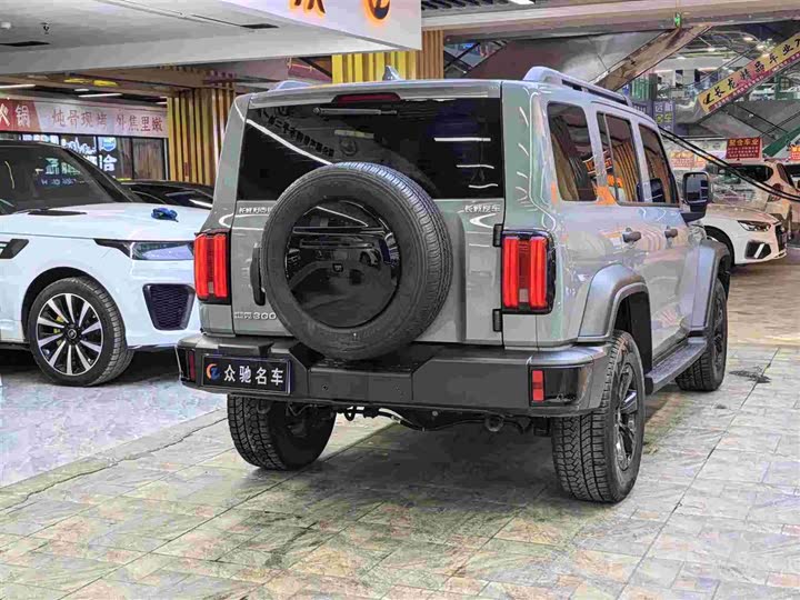 Фото 8 - Tank 300