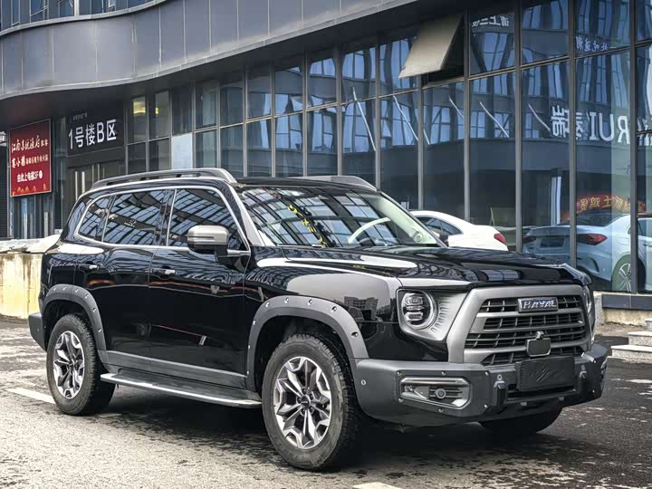 Фото 3 - Haval Dargo