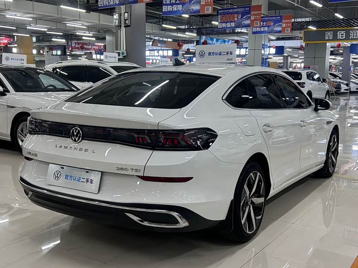 Фото 4 - Volkswagen Lamando L