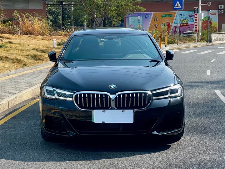 Фото 2 - BMW 5 Series Hybrid