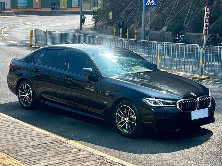 Фото 3 - BMW 5 Series Hybrid