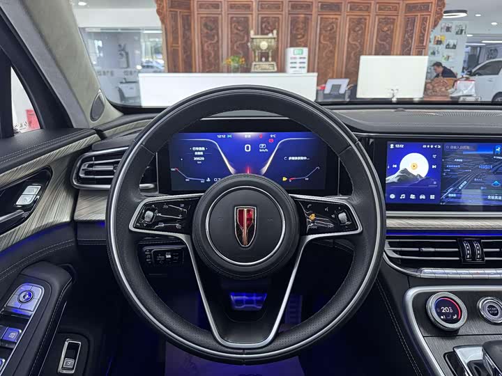 Фото 9 - Hongqi H9