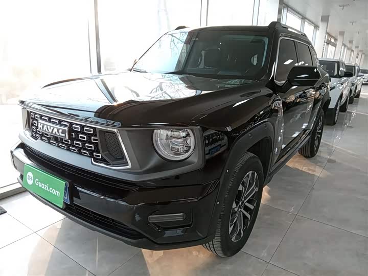 Фото 1 - Haval H-Dog