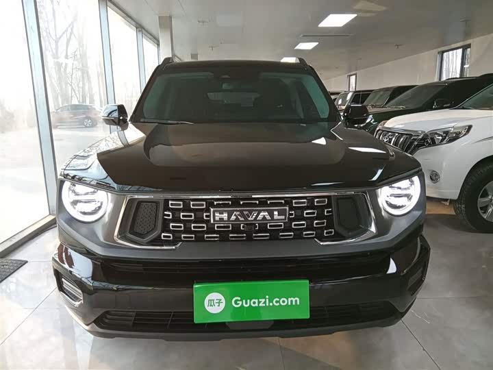 Фото 3 - Haval H-Dog