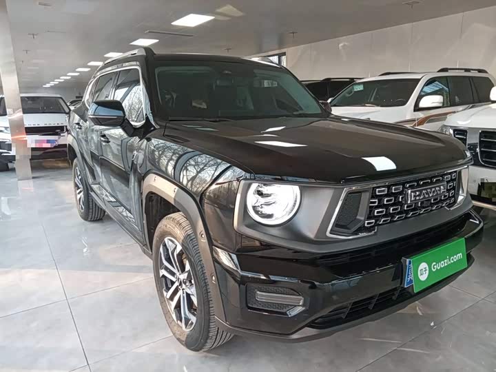 Фото 4 - Haval H-Dog