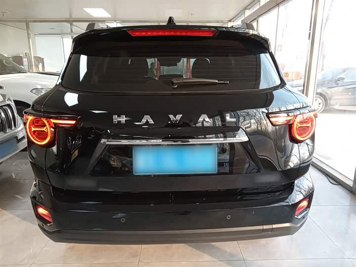 Фото 6 - Haval H-Dog