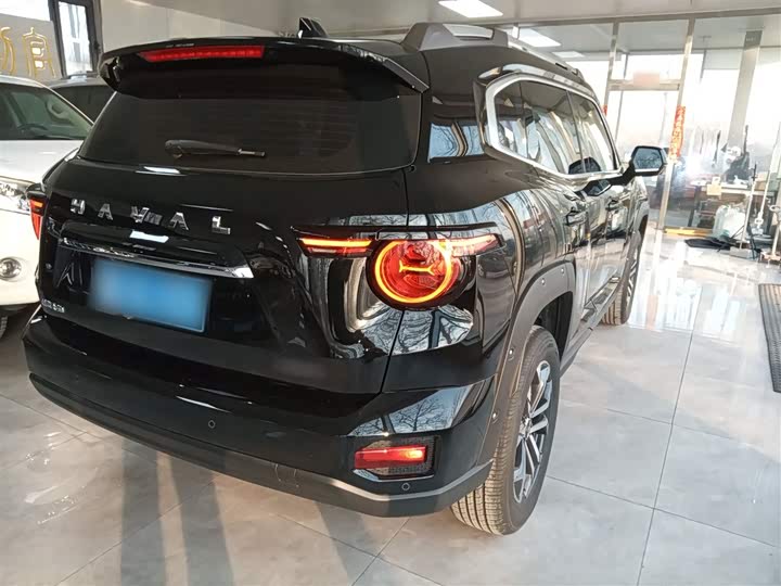 Фото 7 - Haval H-Dog