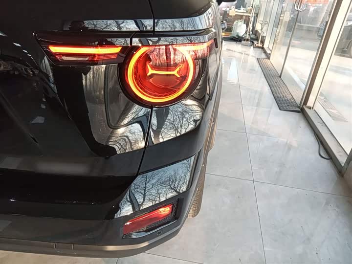 Фото 8 - Haval H-Dog