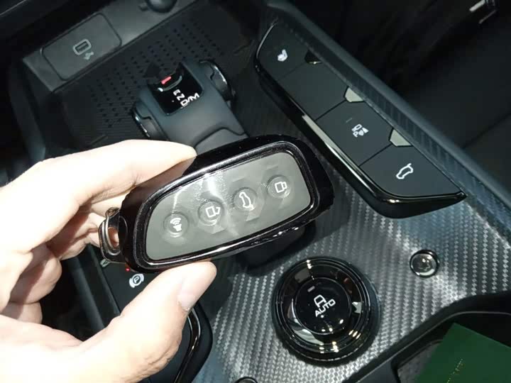 Фото 9 - Haval H-Dog