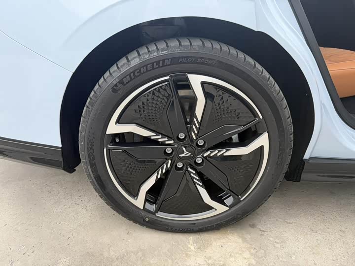 Фото 8 - Voyah Passion