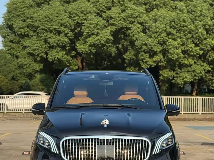 Фото 1 - Mercedes-Benz Vito