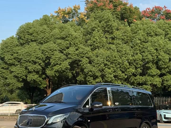 Фото 2 - Mercedes-Benz Vito