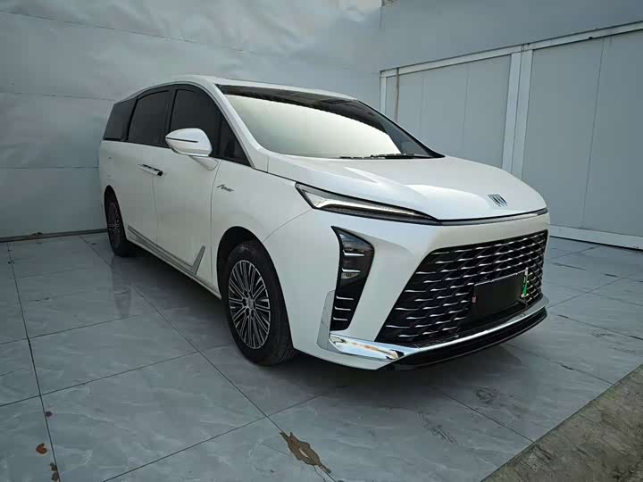 Фото 3 - Buick GL8 Hybrid