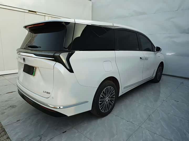 Фото 7 - Buick GL8 Hybrid