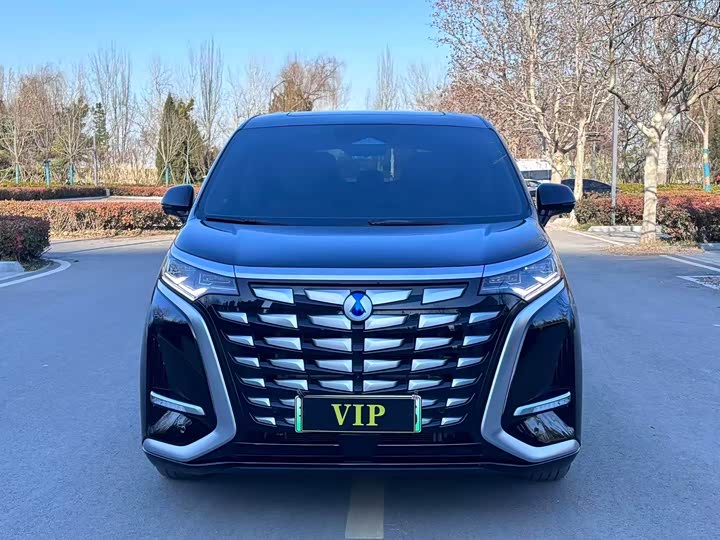 Фото 2 - Denza D9