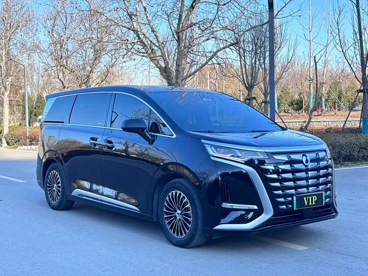 Фото 3 - Denza D9