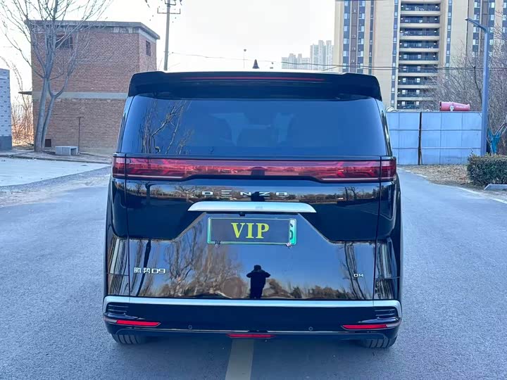 Фото 5 - Denza D9