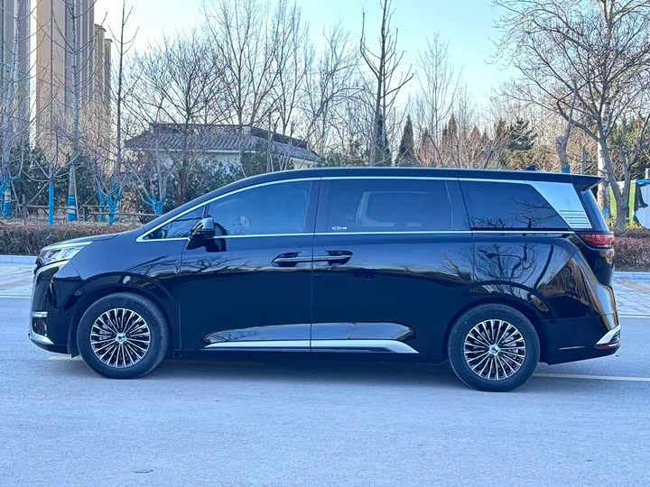 Фото 7 - Denza D9