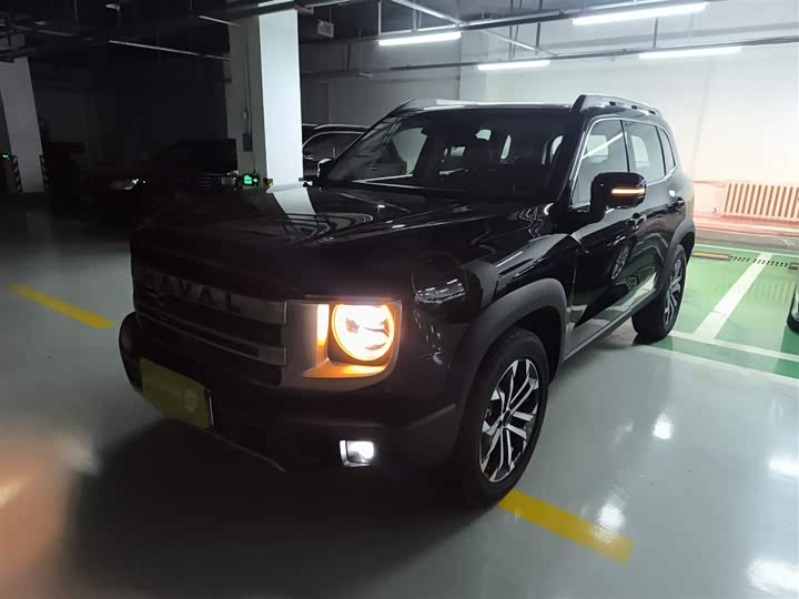 Фото 2 - Haval Dargo