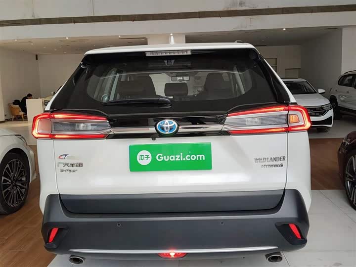 Фото 6 - Toyota Wildlander