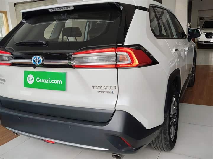 Фото 8 - Toyota Wildlander