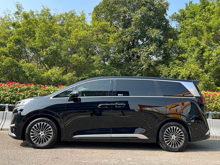 Фото 3 - Denza D9