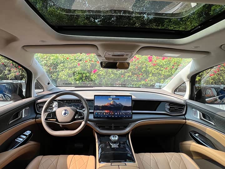 Фото 5 - Denza D9