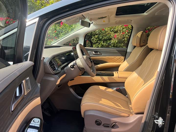 Фото 9 - Denza D9